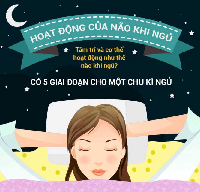 [Infographic] Từ A đến Z những điều cần biết về giấc ngủ